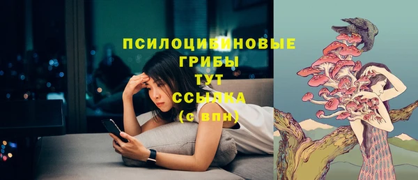 jwh Медвежьегорск