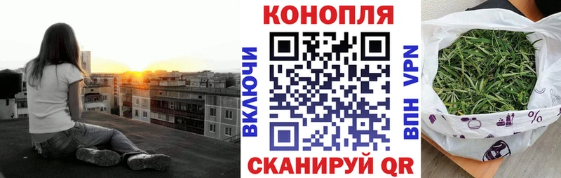 Шишки марихуана THC 21%  где продают   Ессентукская 